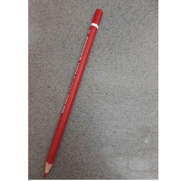 مداد قرمز (گلی) پالمو